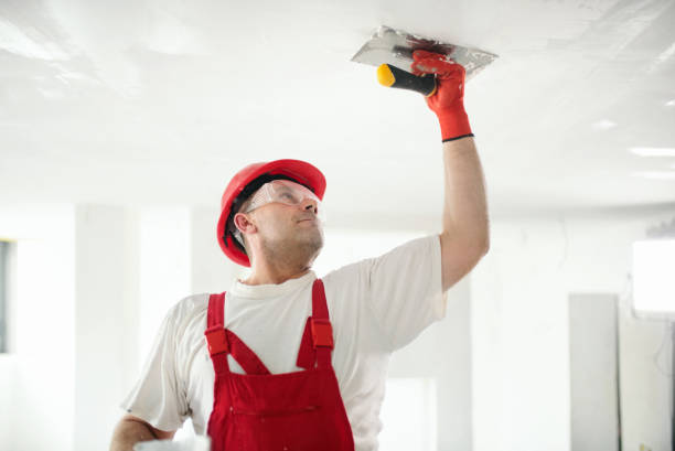 Professional Mold Removal in Kayenta, AZ